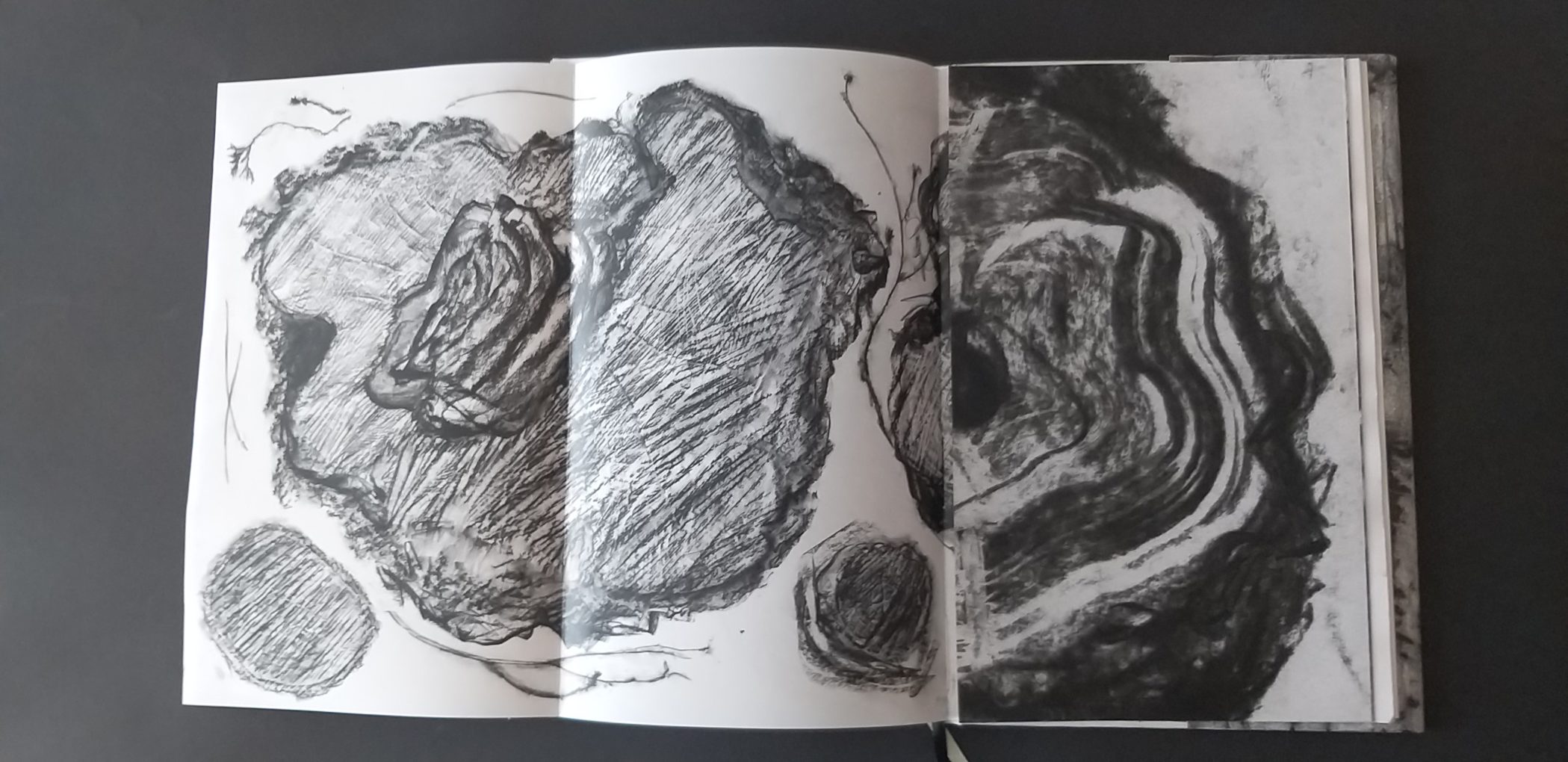 Ilustracja z książki autorstwa Grażyny Pasterskiej-Napadło "Nie bajka leśna", 2019 rok