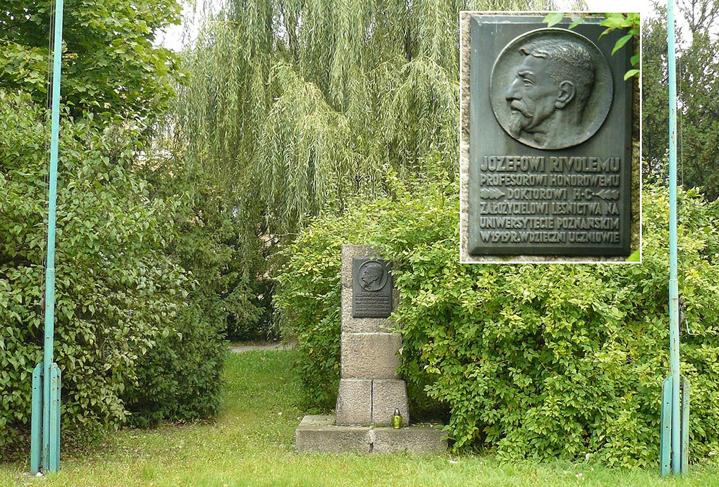 Pomnik Józefa Rivoli przy Kolegium Cieszkowskich w Poznaniu, fot. MOs810 ­ https://commons.wikimedia.org/w/index.php?curid=11872414 ­ dostęp 28.04.2020